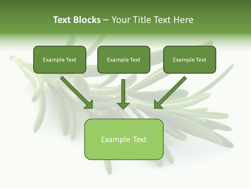 Spice Medicine Drinks PowerPoint Template