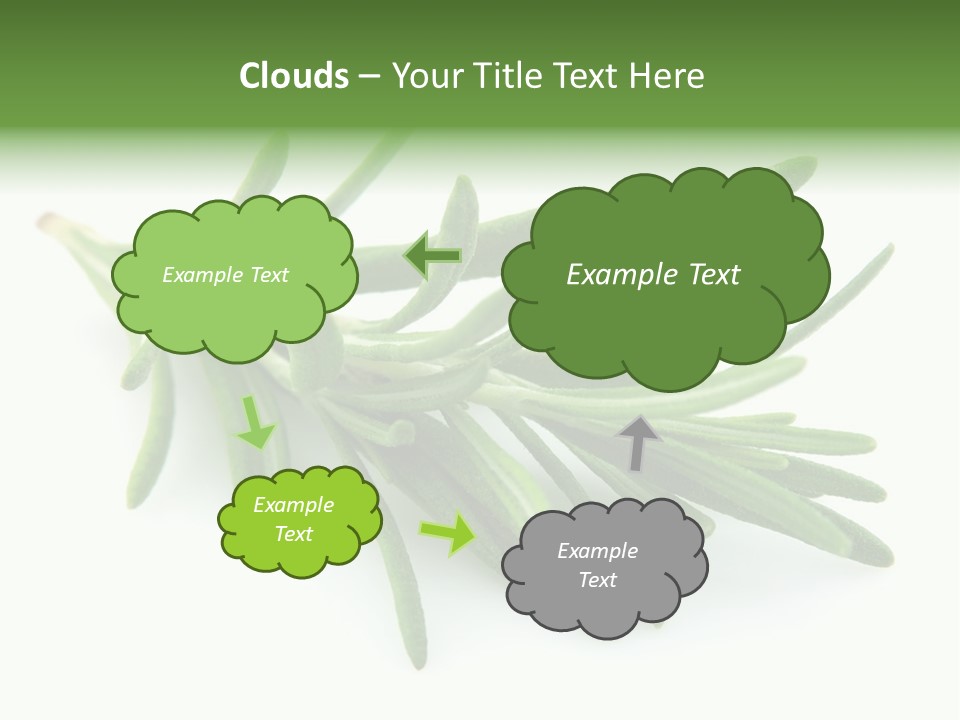 Spice Medicine Drinks PowerPoint Template