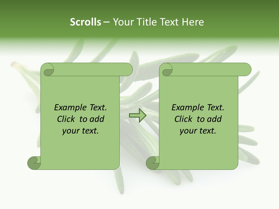 Spice Medicine Drinks PowerPoint Template