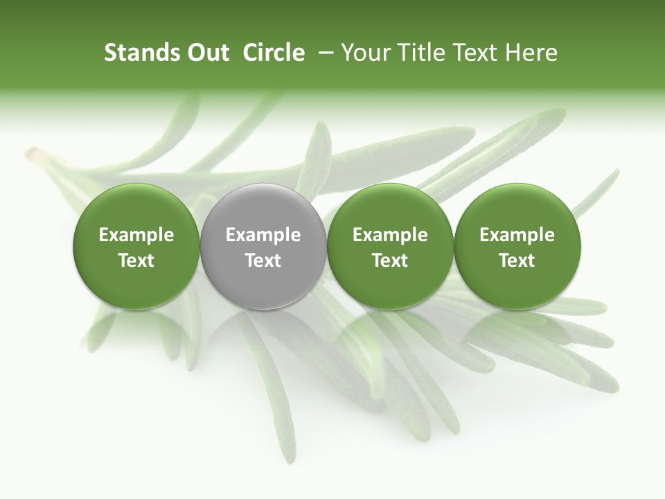 Spice Medicine Drinks PowerPoint Template