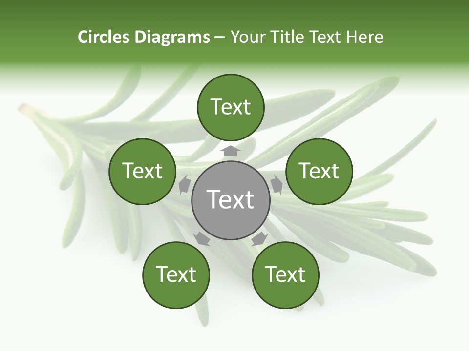 Spice Medicine Drinks PowerPoint Template