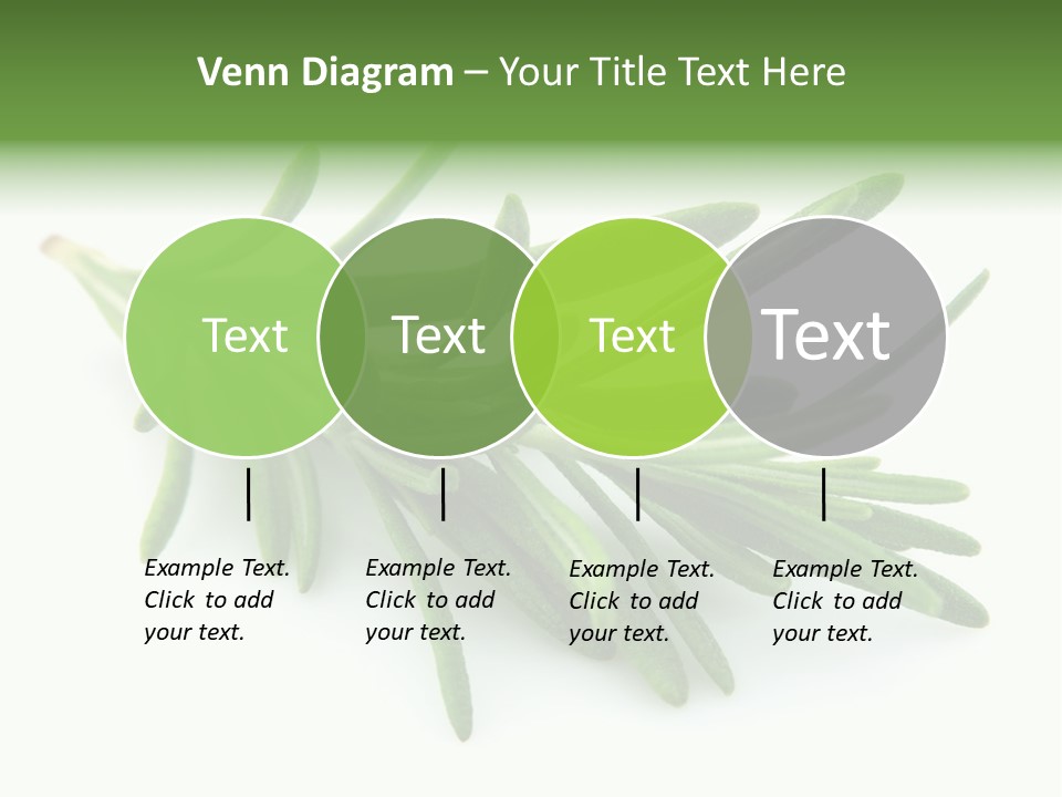 Spice Medicine Drinks PowerPoint Template