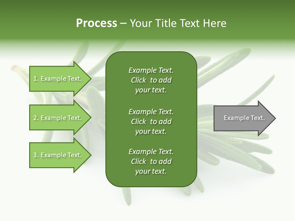 Spice Medicine Drinks PowerPoint Template
