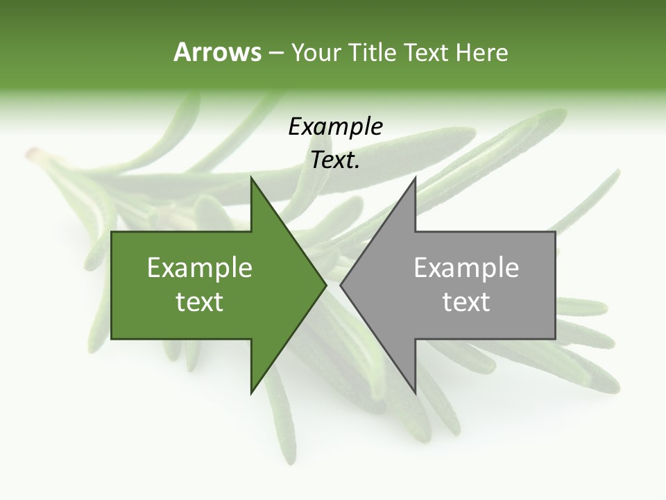 Spice Medicine Drinks PowerPoint Template