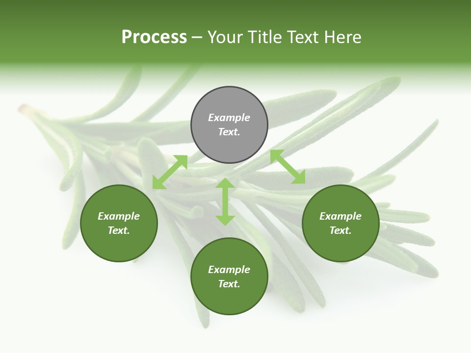Spice Medicine Drinks PowerPoint Template