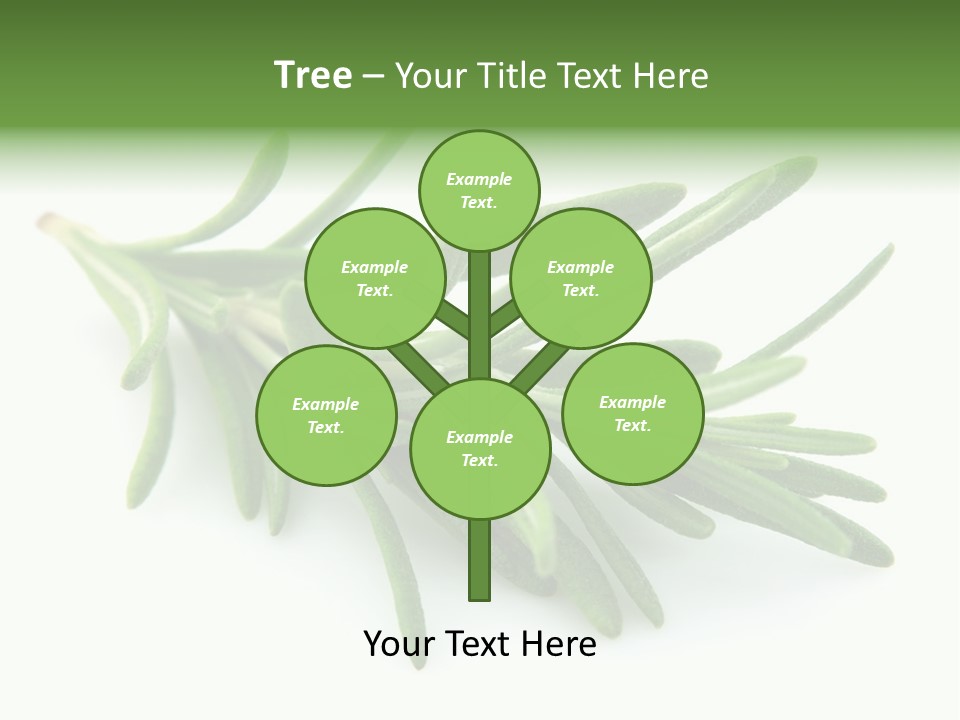 Spice Medicine Drinks PowerPoint Template