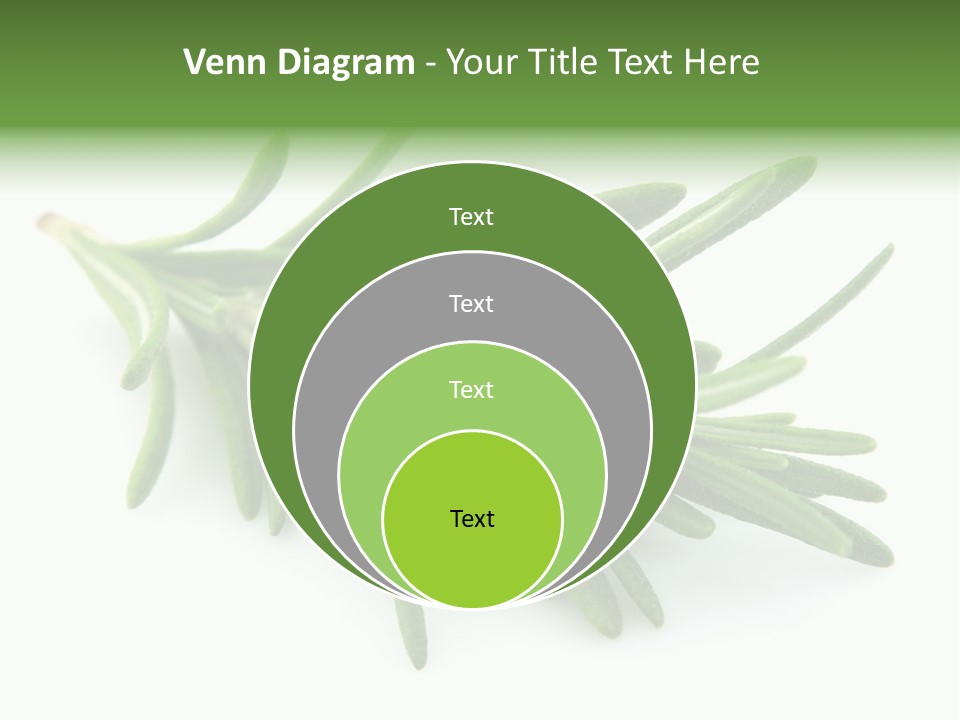 Spice Medicine Drinks PowerPoint Template