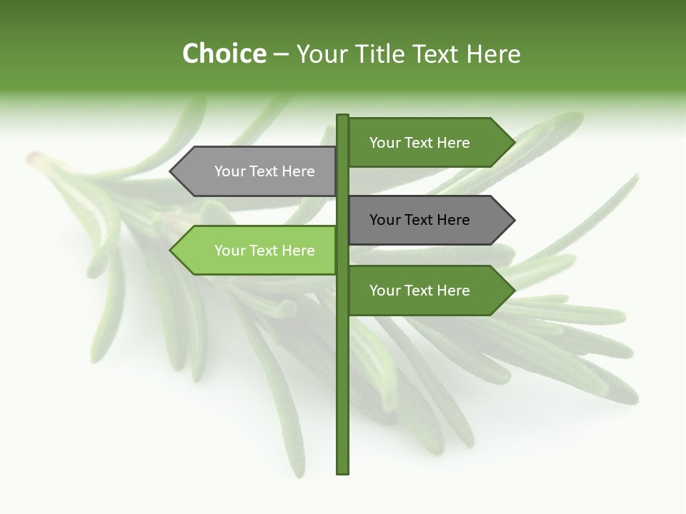 Spice Medicine Drinks PowerPoint Template