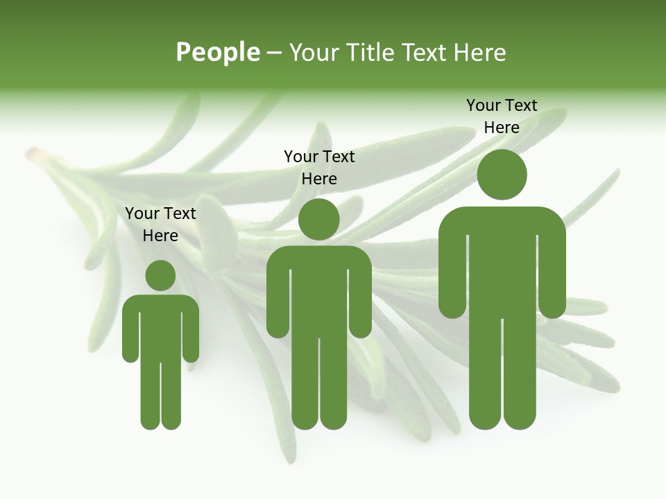 Spice Medicine Drinks PowerPoint Template