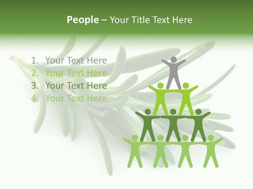 Spice Medicine Drinks PowerPoint Template