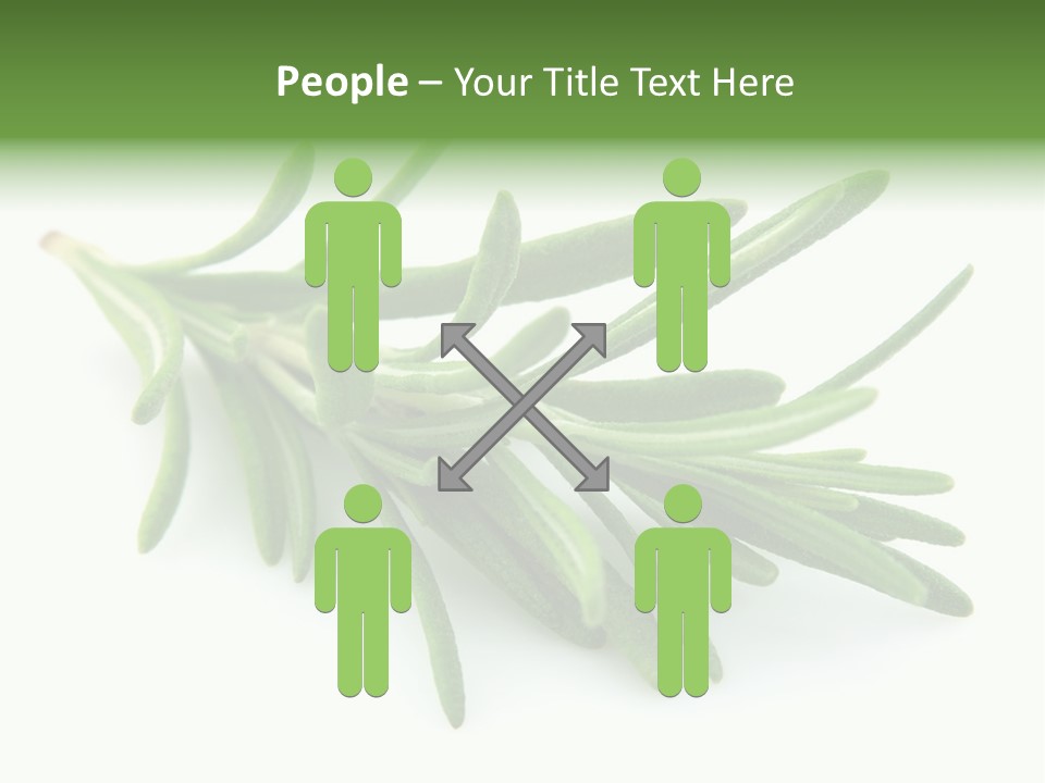 Spice Medicine Drinks PowerPoint Template