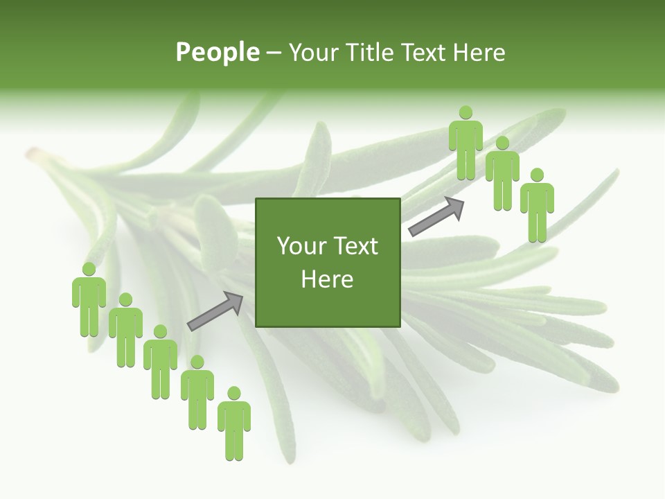 Spice Medicine Drinks PowerPoint Template