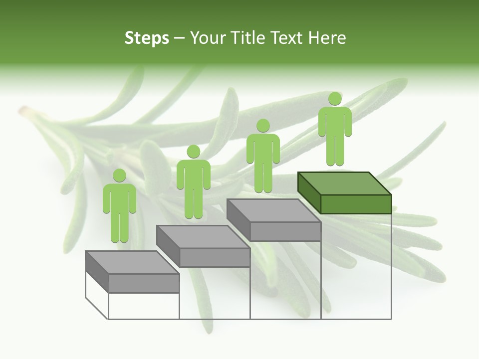 Spice Medicine Drinks PowerPoint Template