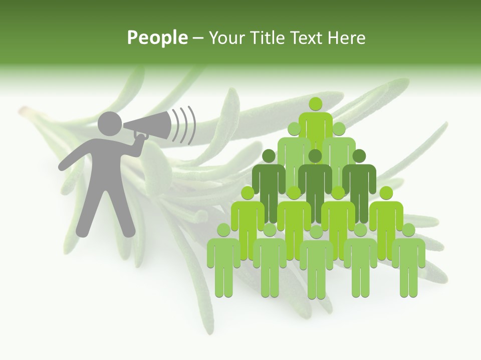 Spice Medicine Drinks PowerPoint Template