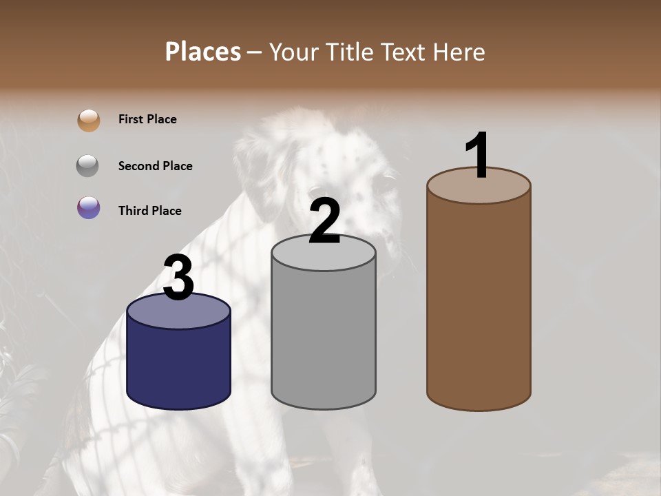 Slimming Fitness Toned PowerPoint Template