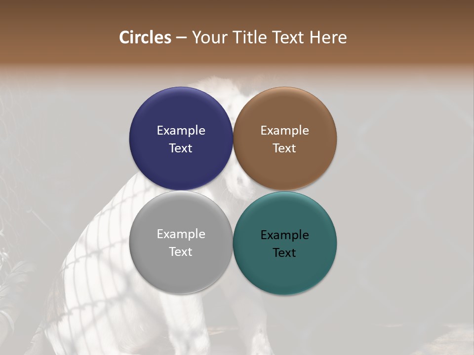 Slimming Fitness Toned PowerPoint Template