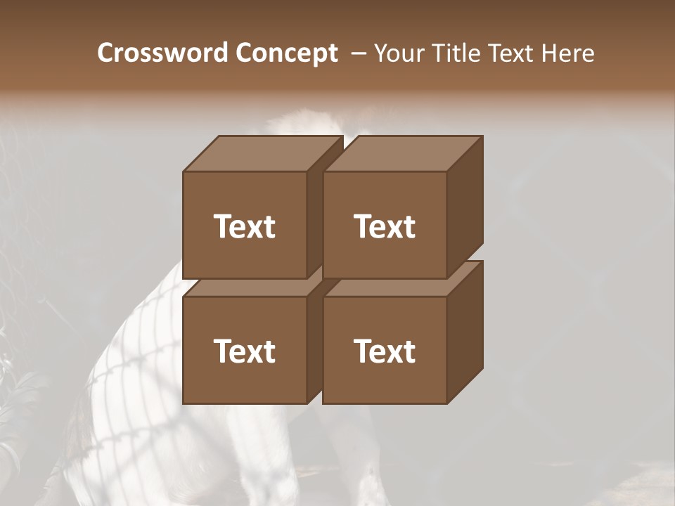 Slimming Fitness Toned PowerPoint Template