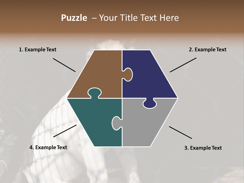 Slimming Fitness Toned PowerPoint Template