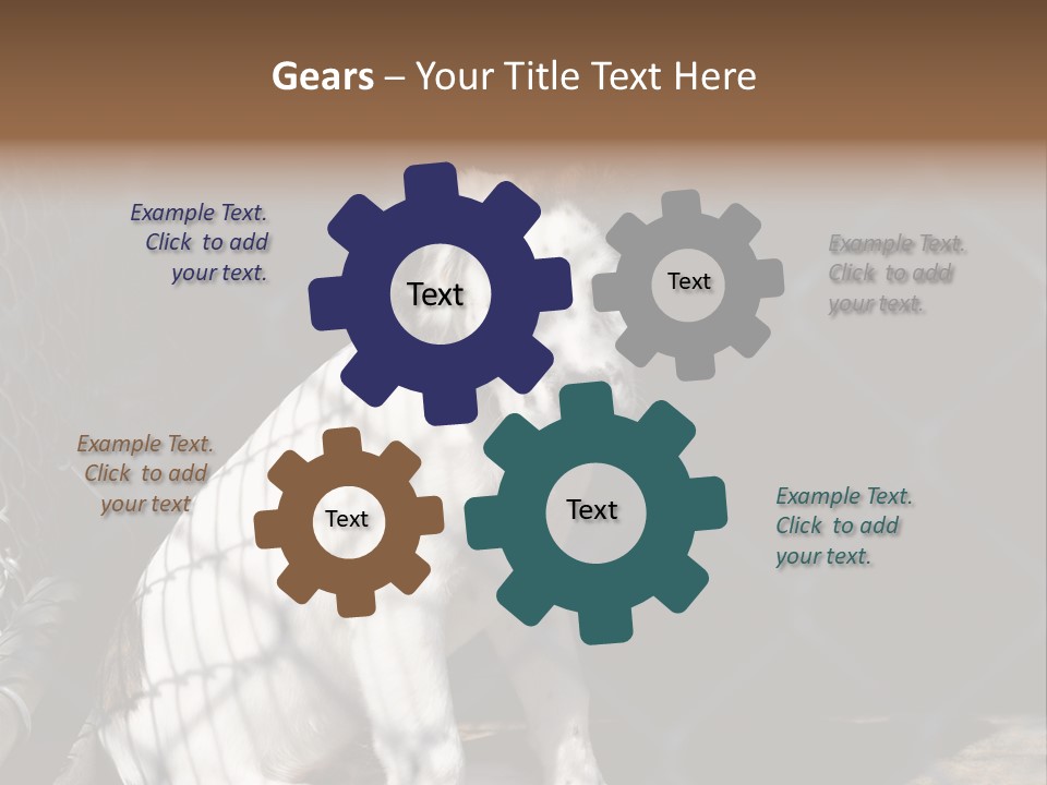 Slimming Fitness Toned PowerPoint Template