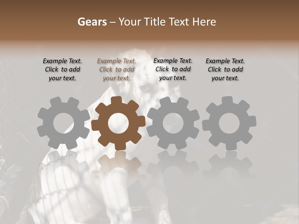 Slimming Fitness Toned PowerPoint Template