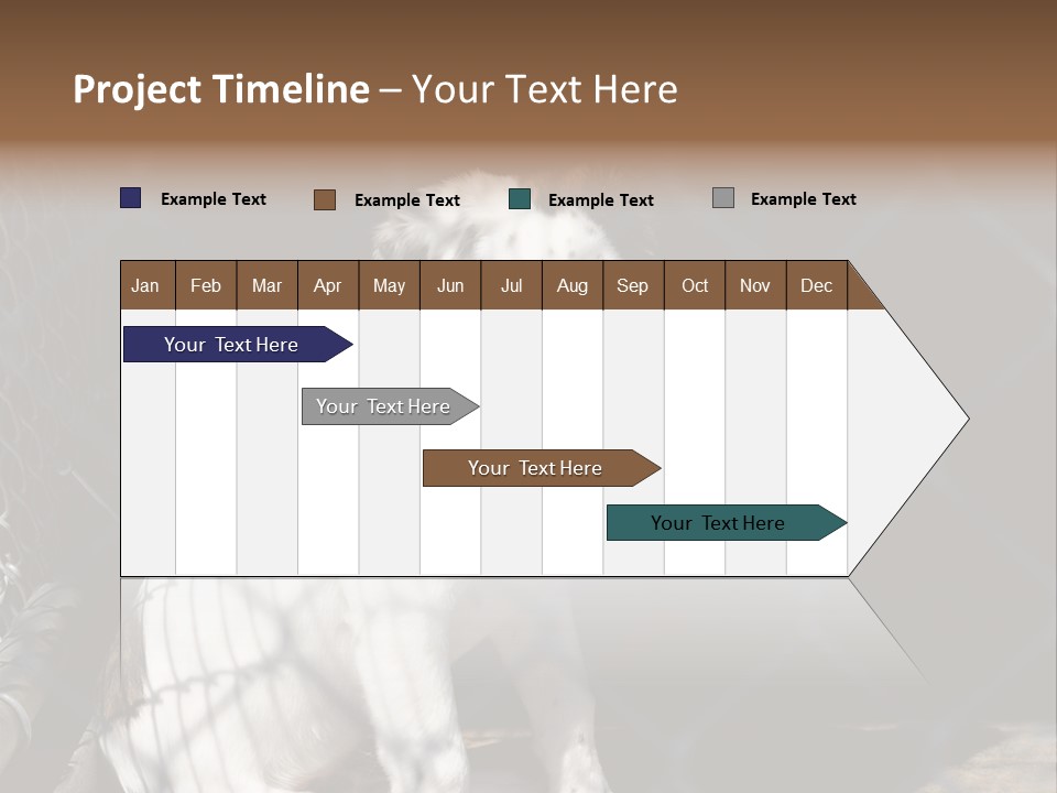 Slimming Fitness Toned PowerPoint Template