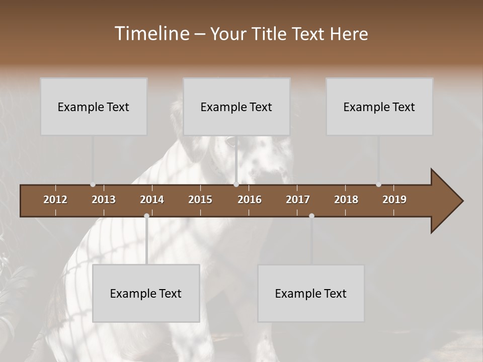 Slimming Fitness Toned PowerPoint Template
