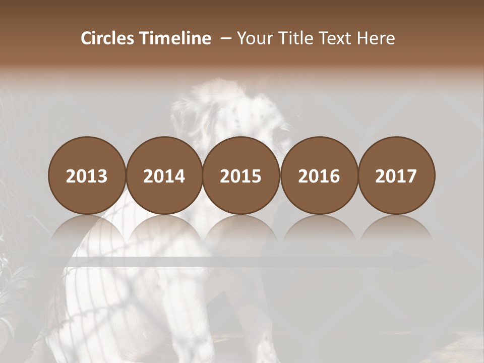 Slimming Fitness Toned PowerPoint Template