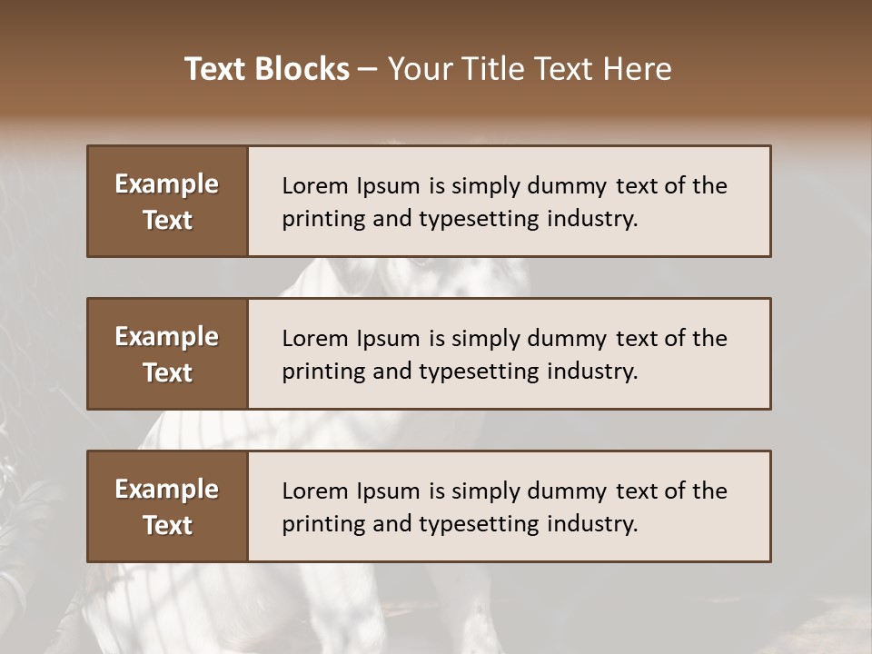 Slimming Fitness Toned PowerPoint Template