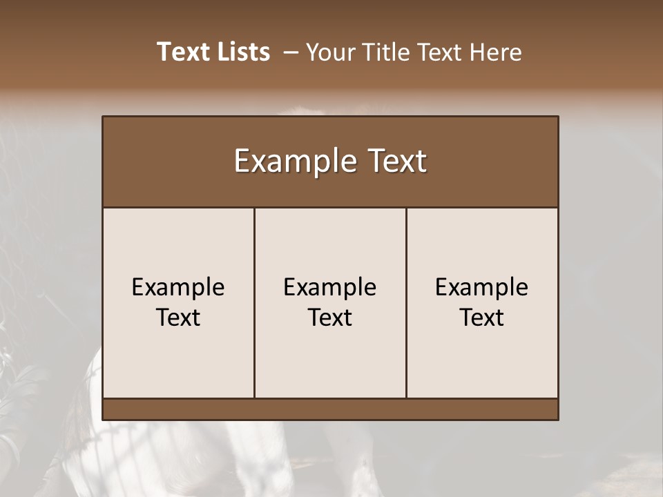 Slimming Fitness Toned PowerPoint Template