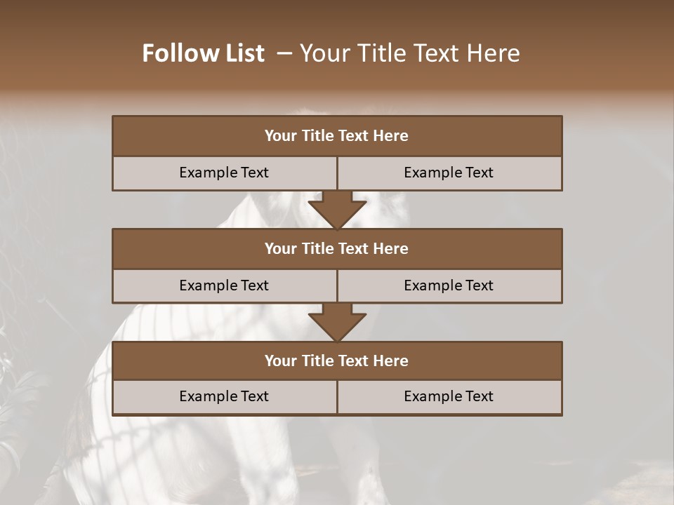 Slimming Fitness Toned PowerPoint Template