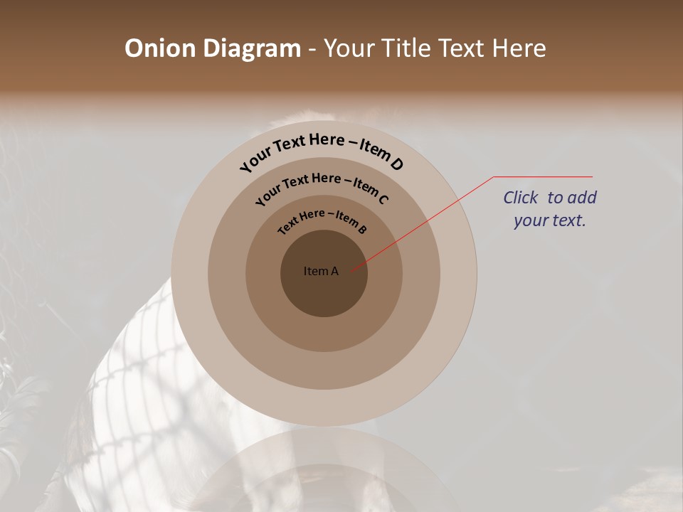 Slimming Fitness Toned PowerPoint Template
