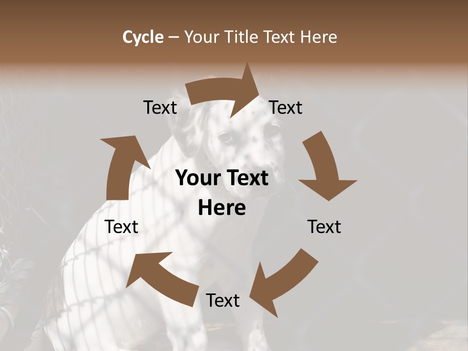 Slimming Fitness Toned PowerPoint Template