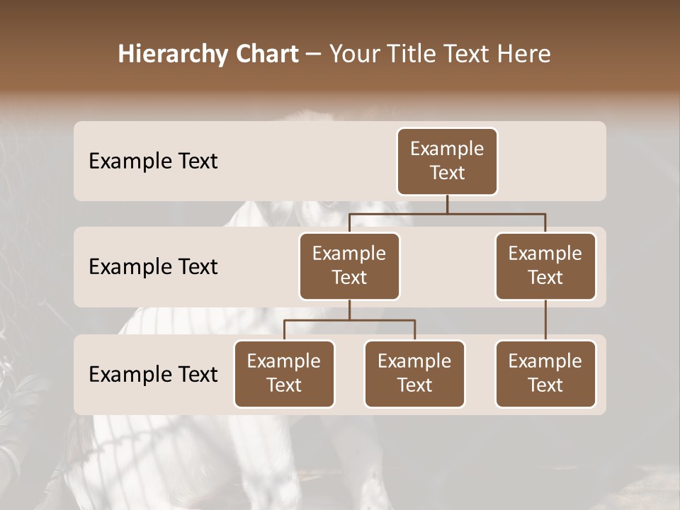 Slimming Fitness Toned PowerPoint Template