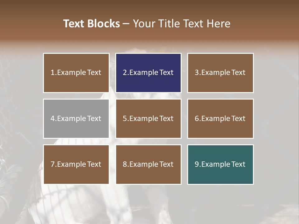 Slimming Fitness Toned PowerPoint Template