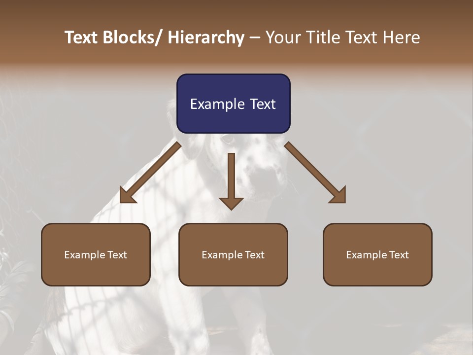 Slimming Fitness Toned PowerPoint Template