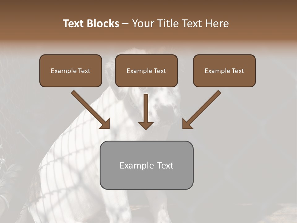 Slimming Fitness Toned PowerPoint Template