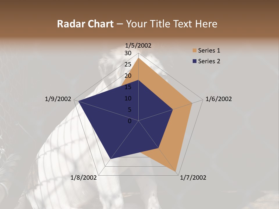 Slimming Fitness Toned PowerPoint Template