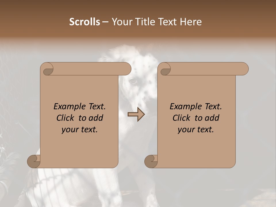Slimming Fitness Toned PowerPoint Template