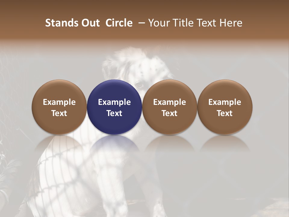 Slimming Fitness Toned PowerPoint Template