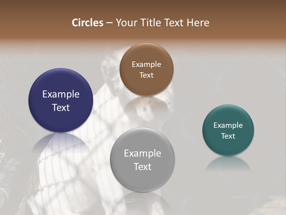 Slimming Fitness Toned PowerPoint Template