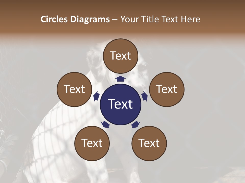 Slimming Fitness Toned PowerPoint Template