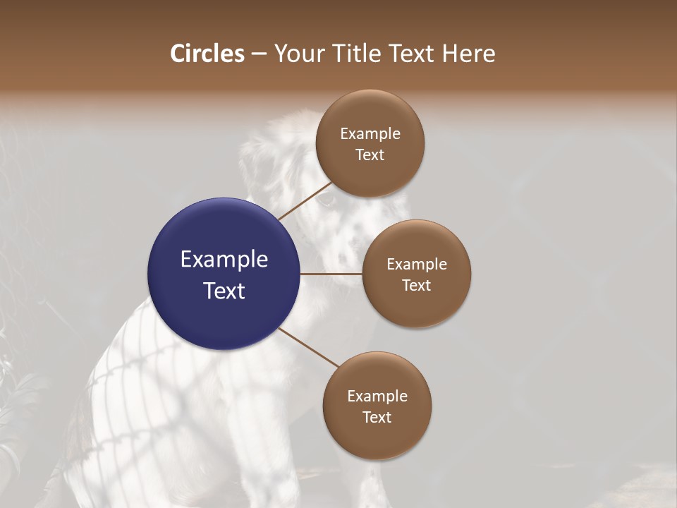 Slimming Fitness Toned PowerPoint Template