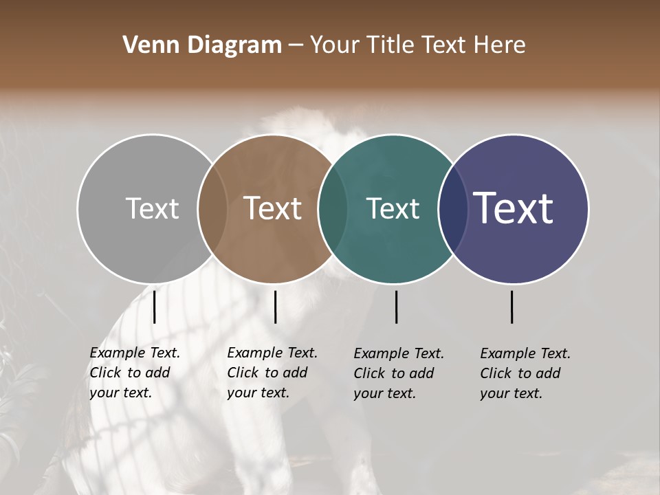 Slimming Fitness Toned PowerPoint Template