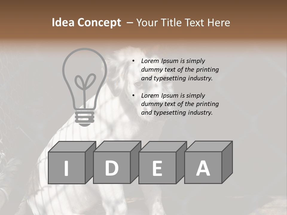 Slimming Fitness Toned PowerPoint Template