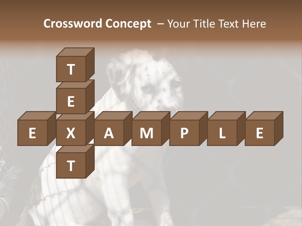 Slimming Fitness Toned PowerPoint Template