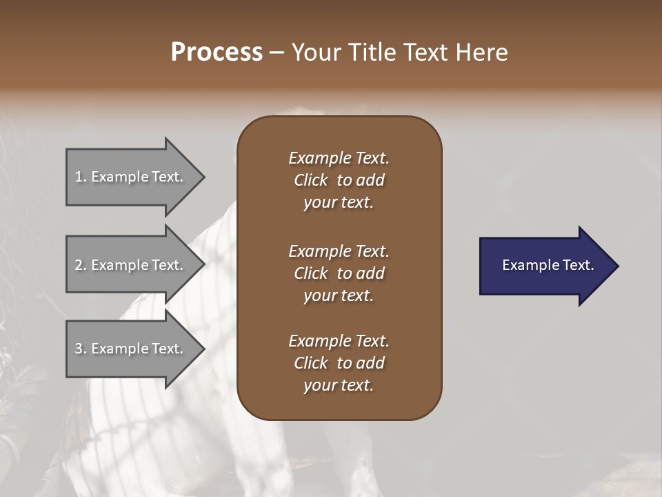 Slimming Fitness Toned PowerPoint Template