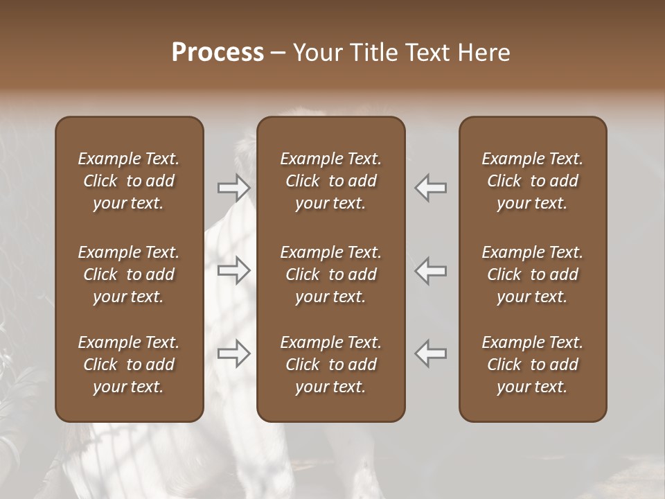 Slimming Fitness Toned PowerPoint Template