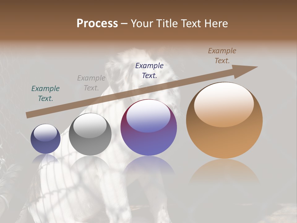 Slimming Fitness Toned PowerPoint Template