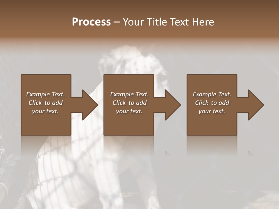 Slimming Fitness Toned PowerPoint Template