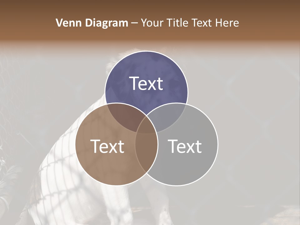 Slimming Fitness Toned PowerPoint Template